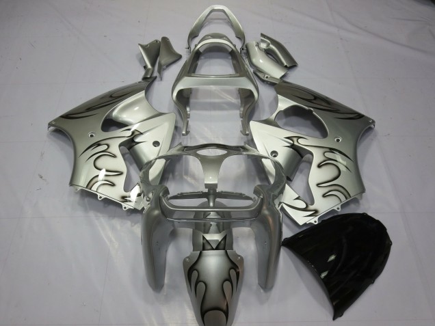 00-02 Silver Flame ZX6R Fairings