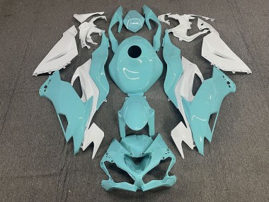 19-23 Aqua ZX6R Fairings