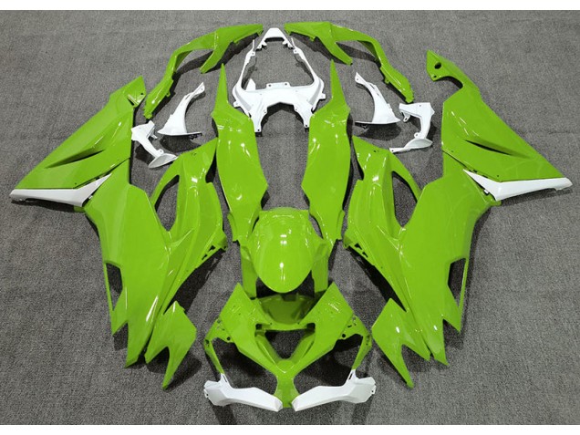 19-23 Gloss Green & White ZX6R Fairings