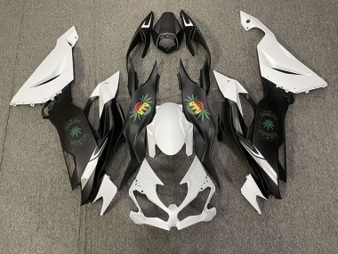 19-23 Happy Face ZX6R Fairings